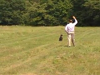 Assis à distance déclenché au sifflet et au bras levé