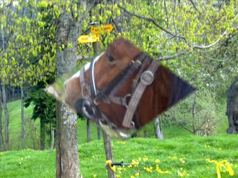 Vacance au Pré Joux avril 2011