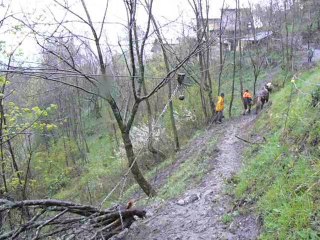 Utilisation de l'hippotreuil en débardage au cheval