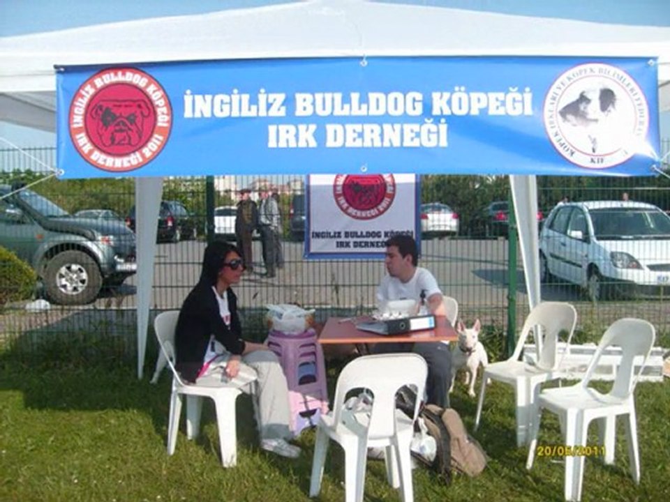 CACİB 2011 IRK STANDARTLARI YARIŞMASI