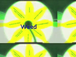 WEED FIELDS - DESI ROOTS