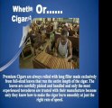 Seattle Cigars,Cigars Seattle,Butane Lighters Seattle,Free White Paper,Rain City Cigar