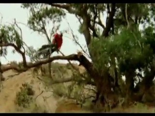 Freeride compilation