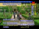 Siamak Afshar:How to Treat the Disease of Drug Addiction-3/3