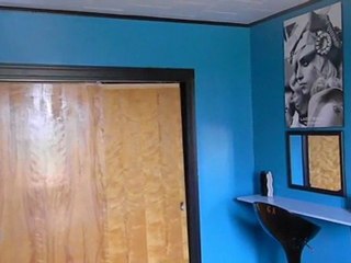 Little Monster Room 2.0  Promo   (Marry The Night)