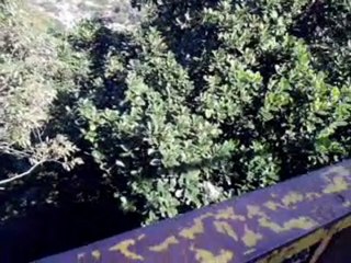 Tijuca Rio de Janeiro