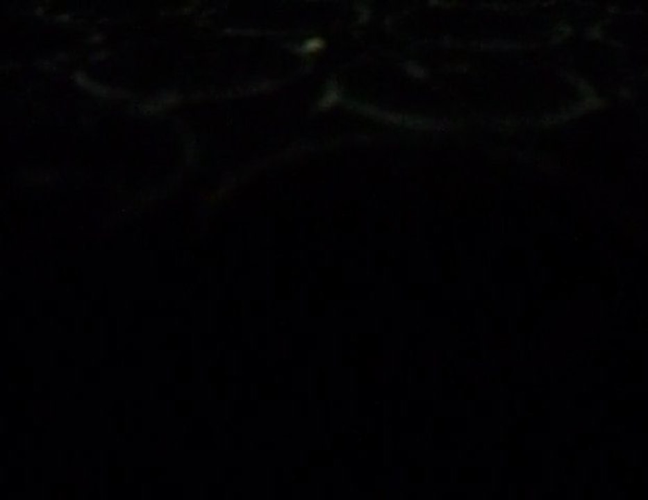 lamadredeheidi-blabla blabla 22.5.11