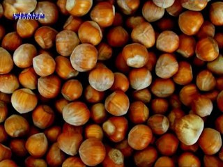 Uniconfort - Impianti per la conversione energetica delle biomasse