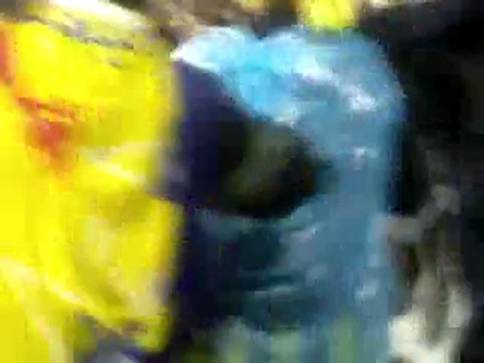 F.B - sivas Şampiyonluk Maçı, Alex Frikik Golü Canlı Trbinünden