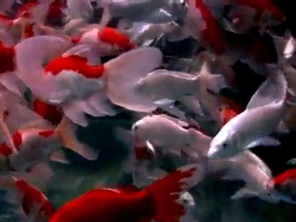 Crash Test Dummies - And It's Beautiful