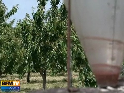 Sècheresse : les agriculteurs doivent s’adapter