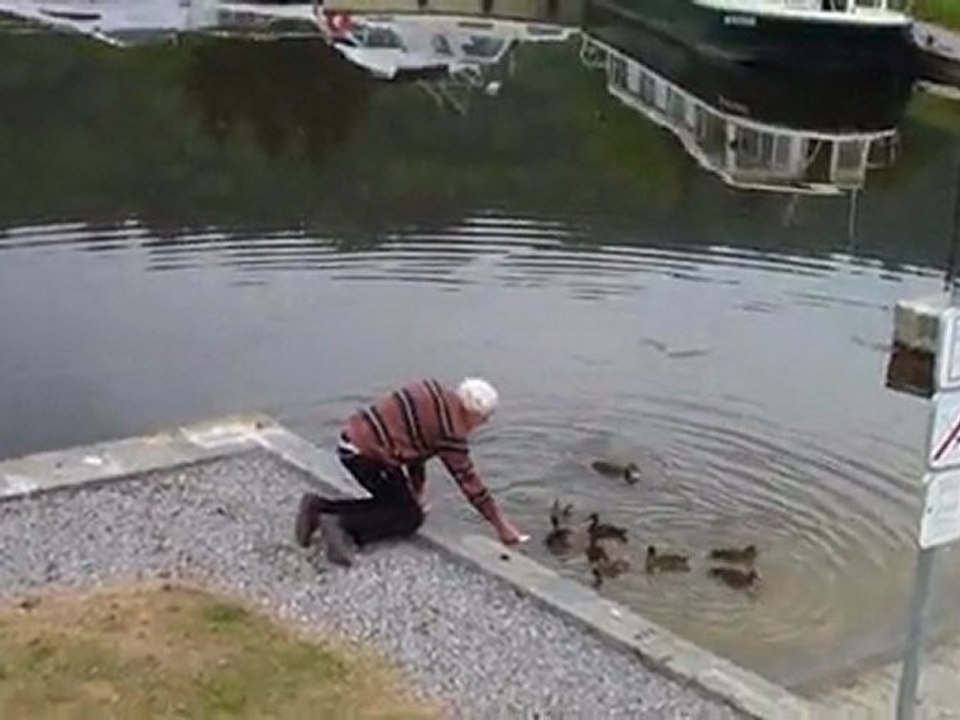 Autres attributions de chef de port