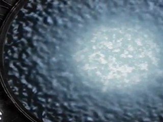 SGU Gate Horizon Version 1