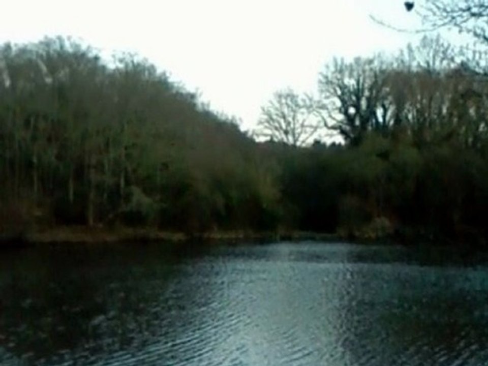 savenay : Loire Atlantique