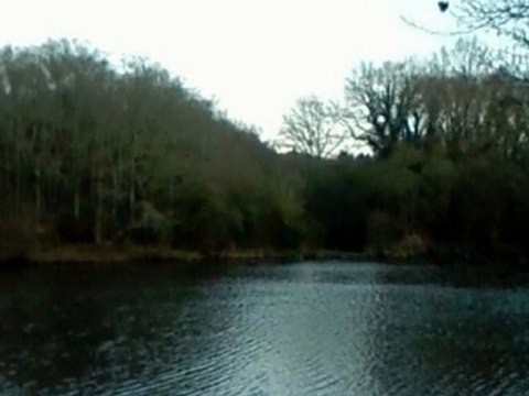 savenay : Loire Atlantique