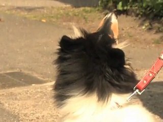 Bienvenue Chez Vous du 16 mai 2011