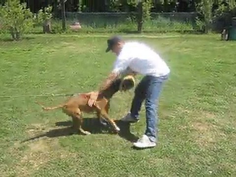 Entrainement APE pour Enjoy des Gorges d'Héric