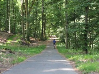 Sortie vélo en forêt de Compiègne
