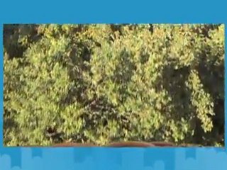 Bienvenue Chez Vous du 20 mai 2011