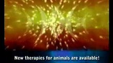 Bioresonantie bij dieren