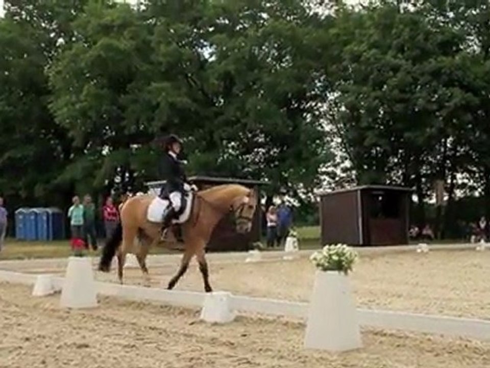 Teenie Dressur Cup in Sachsen