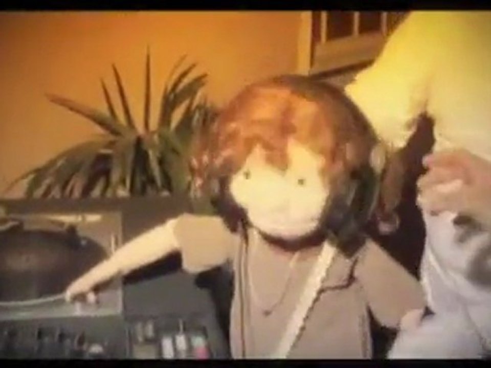 Arminda in the mix