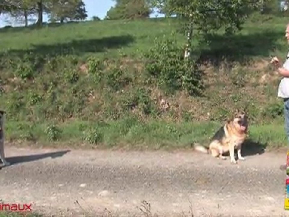 Avoir une communication spécifique