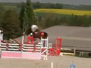 Samsara Sine Bercheres 2011