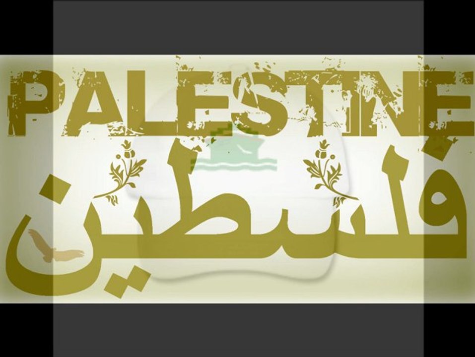 video Palestine action comment déranger les "AUTRES"