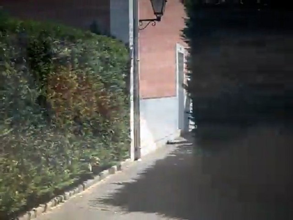 vidéo clem