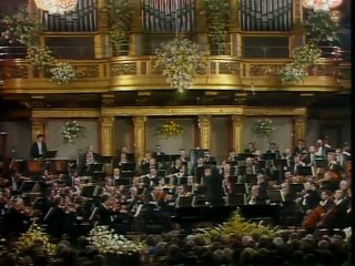 Vienna symphonic orchestra