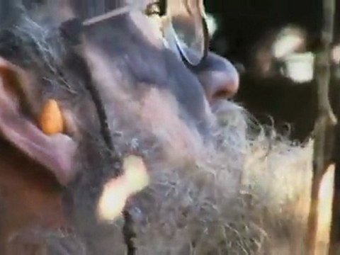 Duck Men avyaban.com - ergo