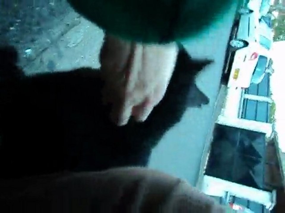 ClasH avec un cHat Obez