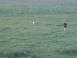 BURDUR 4. AVA ATIŞLI MERA YARIŞMASI LEYDİNİN FİNALİ