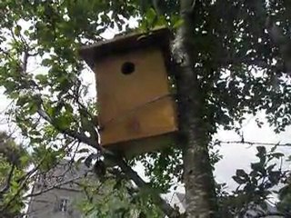 Chez Monique....