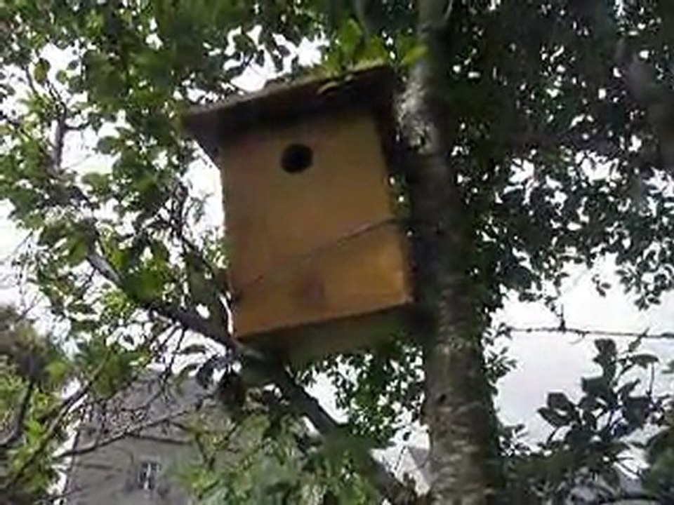 Chez Monique....