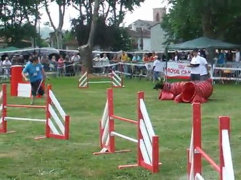 After Agility 1 Trophée par équipe 2011