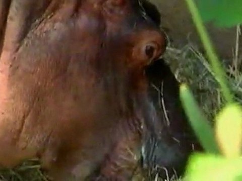 1/3 L'univers Les extraterrestres existent