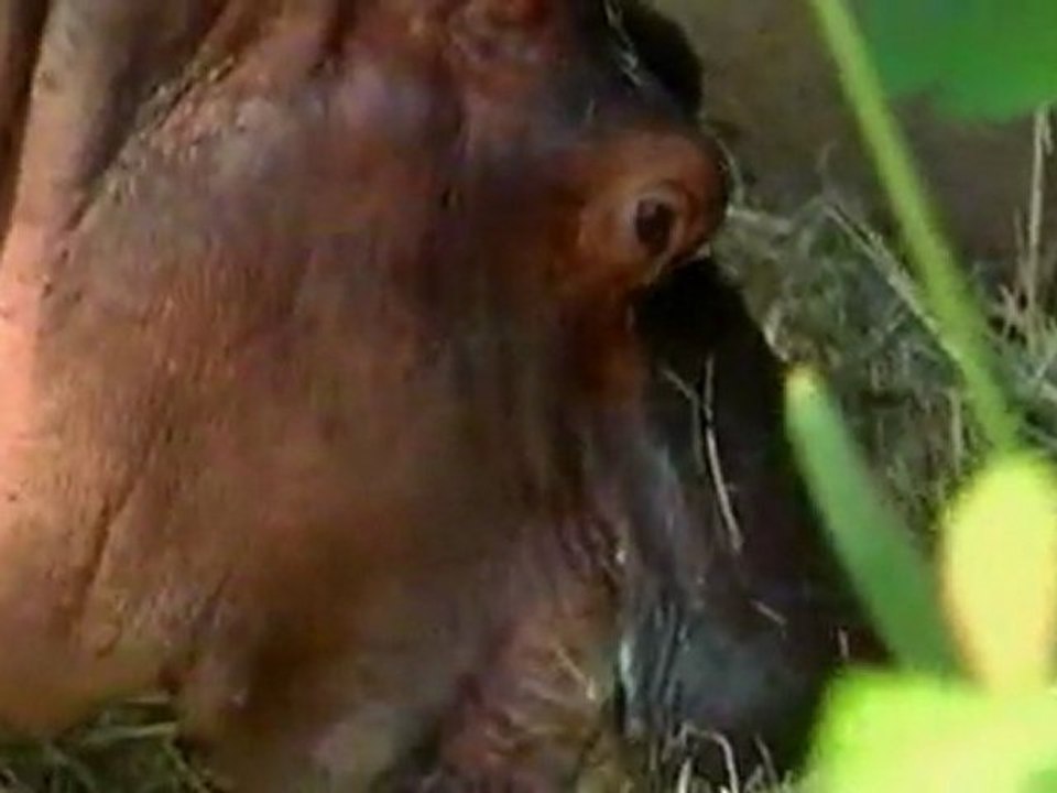 1/3 L'univers  Les extraterrestres existent