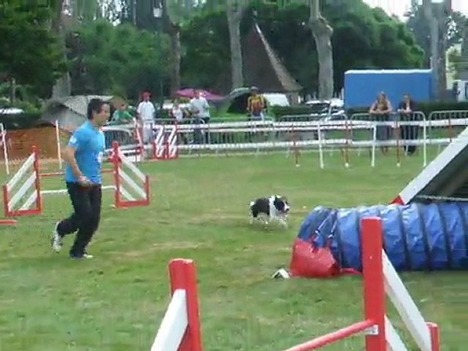 Cayenne Agility 1 Trophée par Equipe 2011