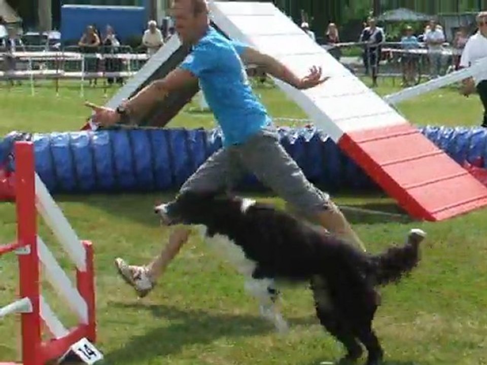 Tao Agility 1 Trophée par Equipe 2011