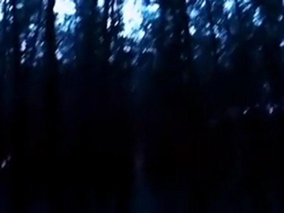 Ragini (2011) Dvd Scr By DesiTvForum.Net Part1