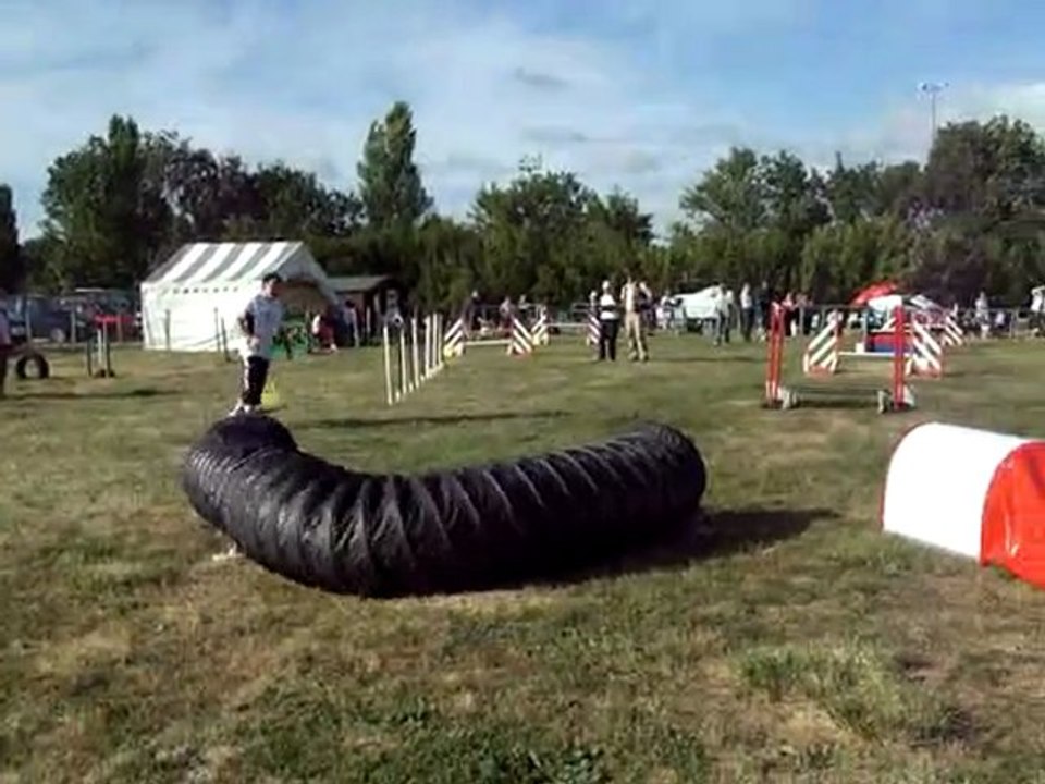 Agility Saujon 22/05/11