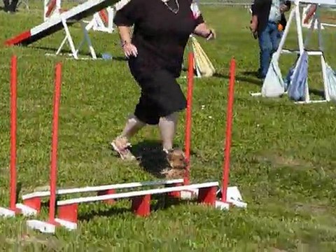 Bambou - SPGF Avignon - 1er parcours Agility