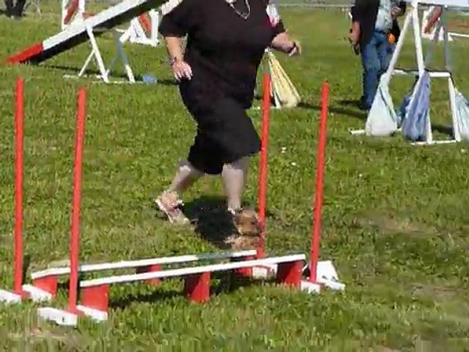 Bambou - SPGF Avignon - 1er parcours Agility