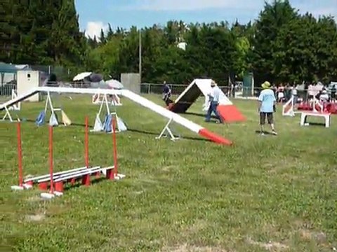 Calvin - SPGF Avignon - 1er parcours Agility