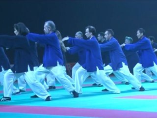 La Fédération Française de Wushu au Festival des Arts Martiaux de Bercy 2011