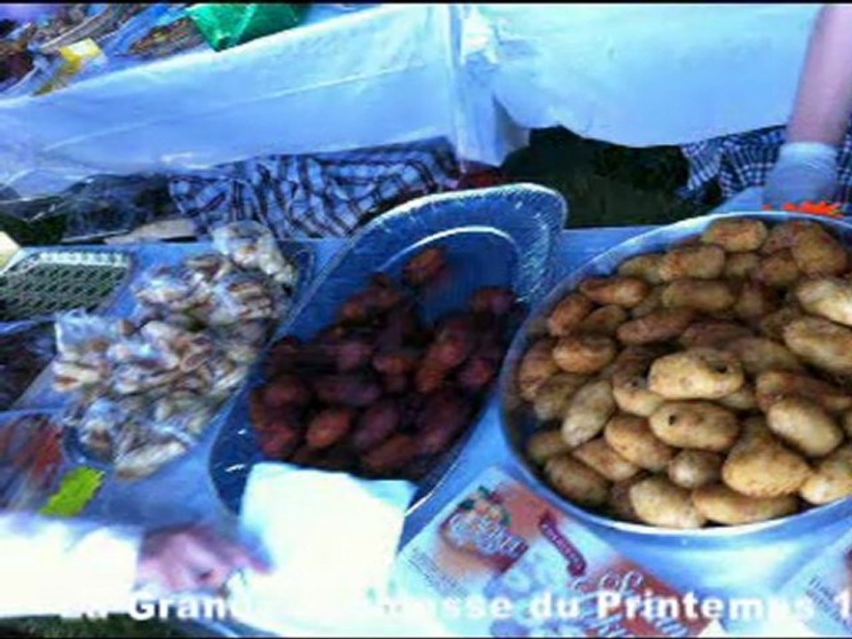 La Grande Kermesse du Prinetmps - Edition 2011 - 01