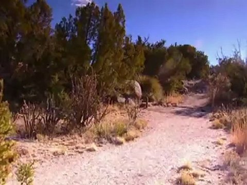 Losing Out A tribute to Jon Jones