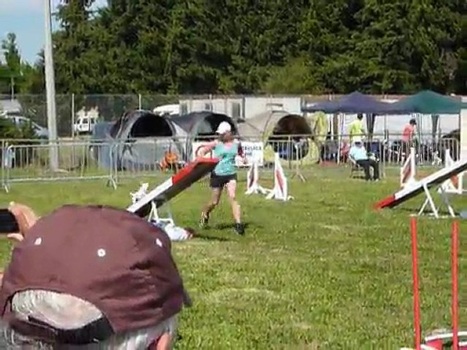 Vodka - SPGF Avignon - 1er parcours Agility